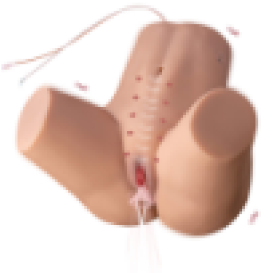 Phoebe Sucking Vibrating Hips